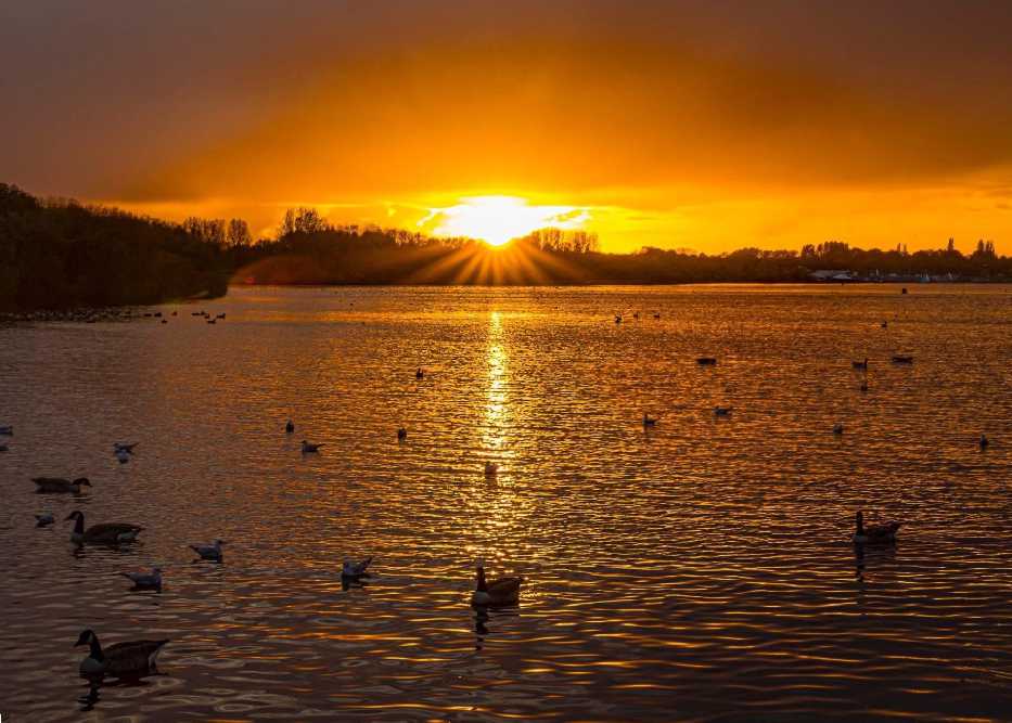 High level veiw of Pennington flash.